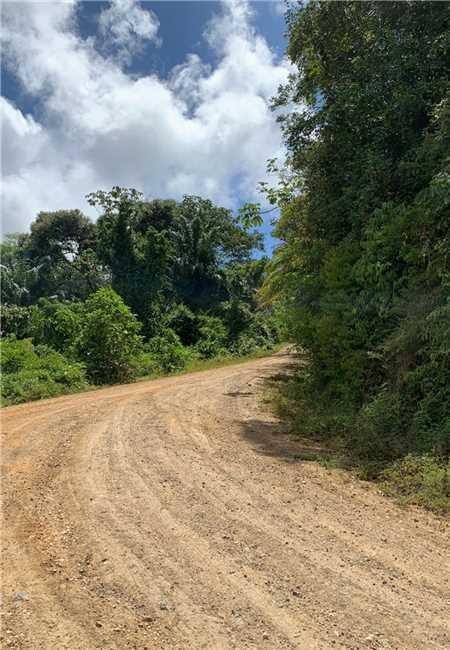 ILHÉUS INICIA ESTUDO DE IMPLANTAÇÃO DE ESTRADA ECOLÓGICA PARA O ACESSO AO POVOADO DE LAGOA ENCANTADA 