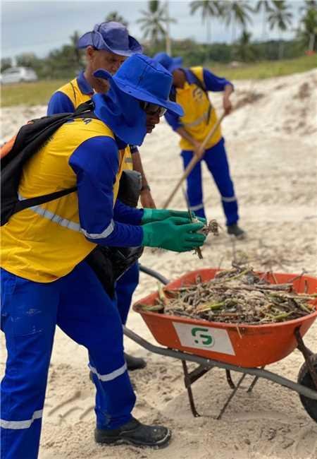 PREFEITURA DE ILHÉUS REALIZA MUTIRÃO E INTENSIFICA LIMPEZA DE PRAIAS PARA RETIRADA DE BARONESAS 