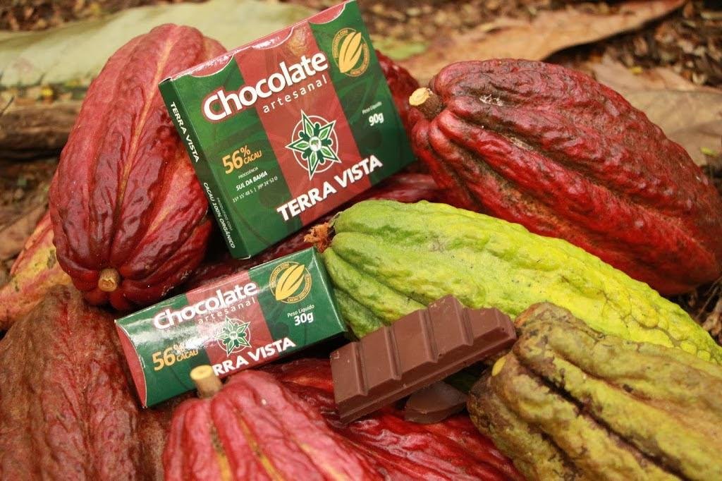 BAHIA ACELERA DIA DO CACAU COM MELHORIA NA PRODUÇÃO DE AMÊNDOAS E CHOCOLATES DE QUALIDADE 