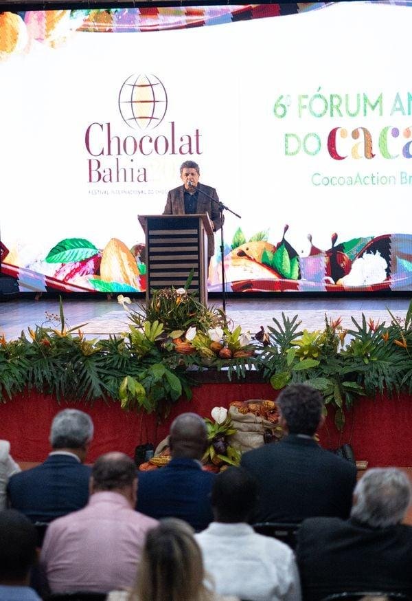 NOVO CICLO DO CACAU NA BAHIA: SEM CORONÉIS E COM MUITO MAIS SABORES