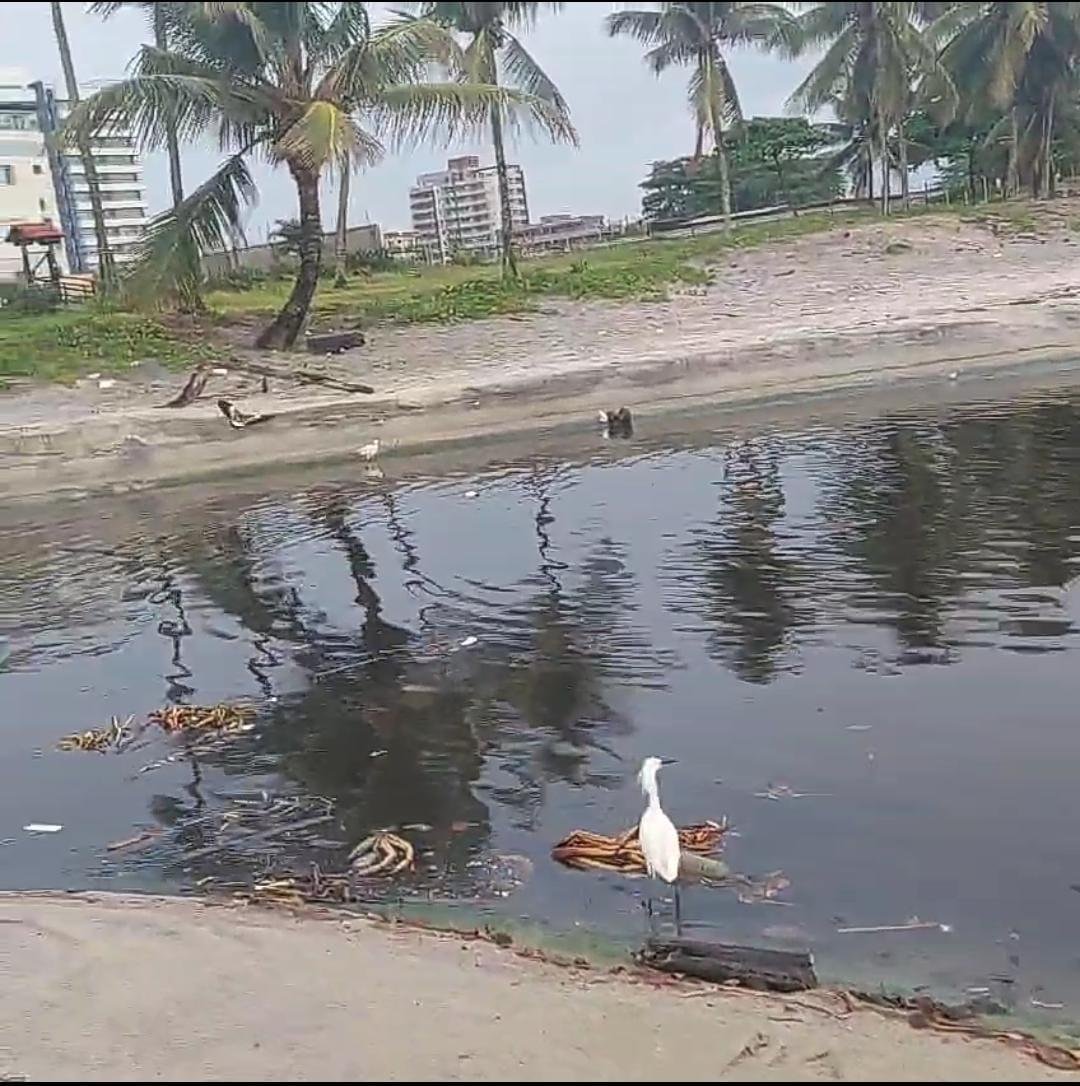 OUVINTE DO PROGRAMA O TABULEIRO DENUNCIA ESGOTO SENDO JOGADO EM PRAIA DE ILHÉUS; EMBASA RESPONDE