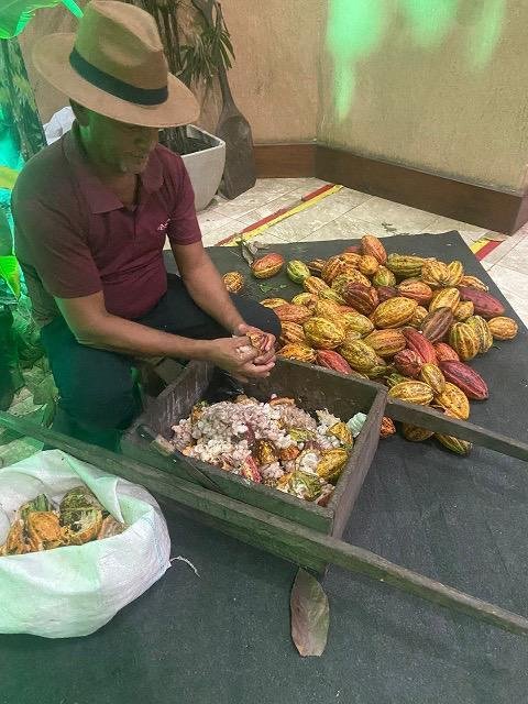 GOVERNO DO ESTADO FORTALECE TURISMO, AGRICULTURA FAMILIAR E ECONOMIA SOLIDÁRIA NO CHOCOLAT FESTIVAL ILHÉUS