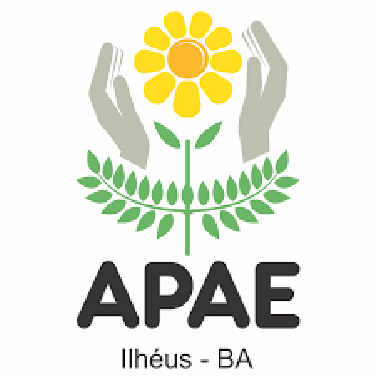 APAE DE ILHÉUS SELECIONA VOLUNTÁRIOS