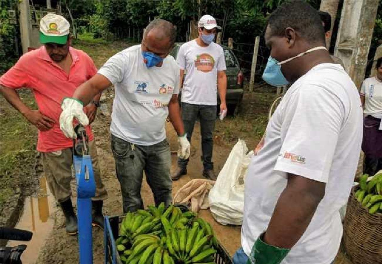 ILHÉUS É DESTAQUE NO PROGRAMA ALIMENTA BRASIL