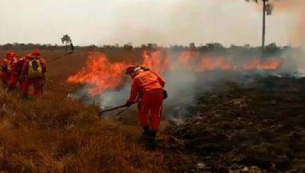 BAHIA REGISTRA MAIS DE 31 MIL FOCOS DE INCÊNDIO NO ANO