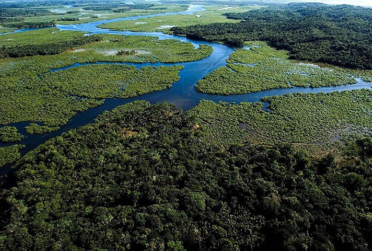 OPERAÇÃO PARA COIBIR DESMATAMENTO DA MATA ATLÂNTICA COMEÇA NA BA E MAIS 16 ESTADOS