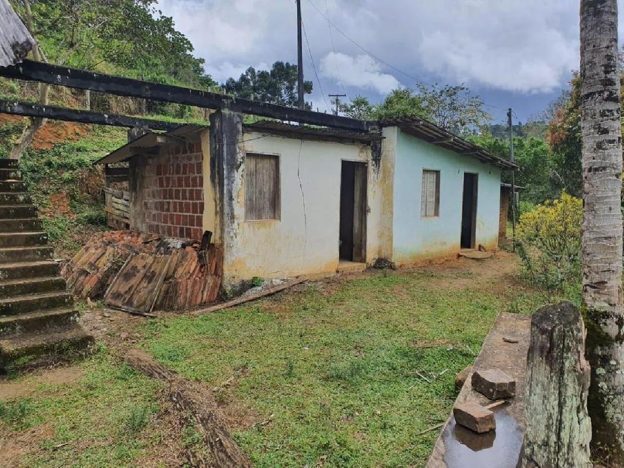 SEIS HOMENS SÃO PRESOS EM PROPRIEDADE RURAL COM 3.500 PÉS DE MACONHA NA BAHIA