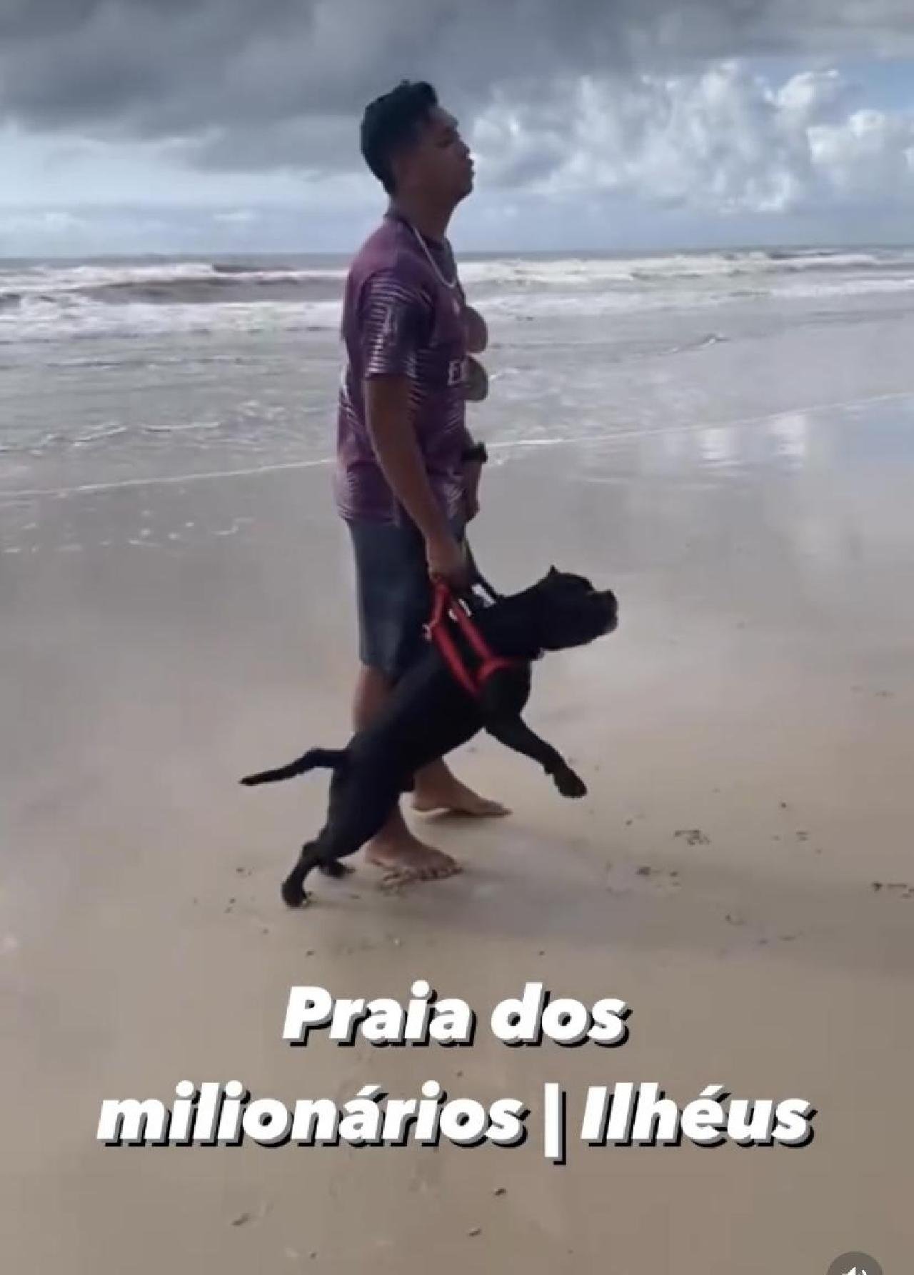 PITBULL TENTA ATACAR CACHORRO DE PEQUENO PORTE EM ILHÉUS 