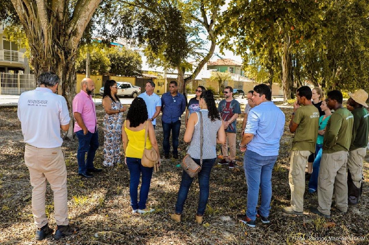 ILHÉUS: PLANTIO DE MIL MUDAS DE ÁRVORES NATIVAS É FEITO EM VIAS PÚBLICAS