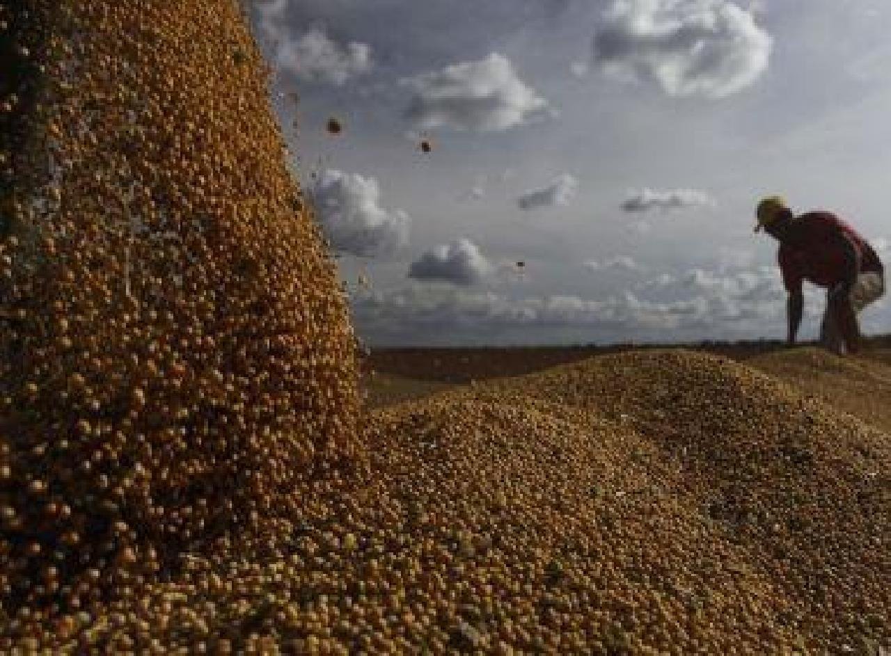 EXPORTAÇÕES BAIANAS CRESCEM 1% EM JULHO APÓS BAIXA NO PRIMEIRO SEMESTRE