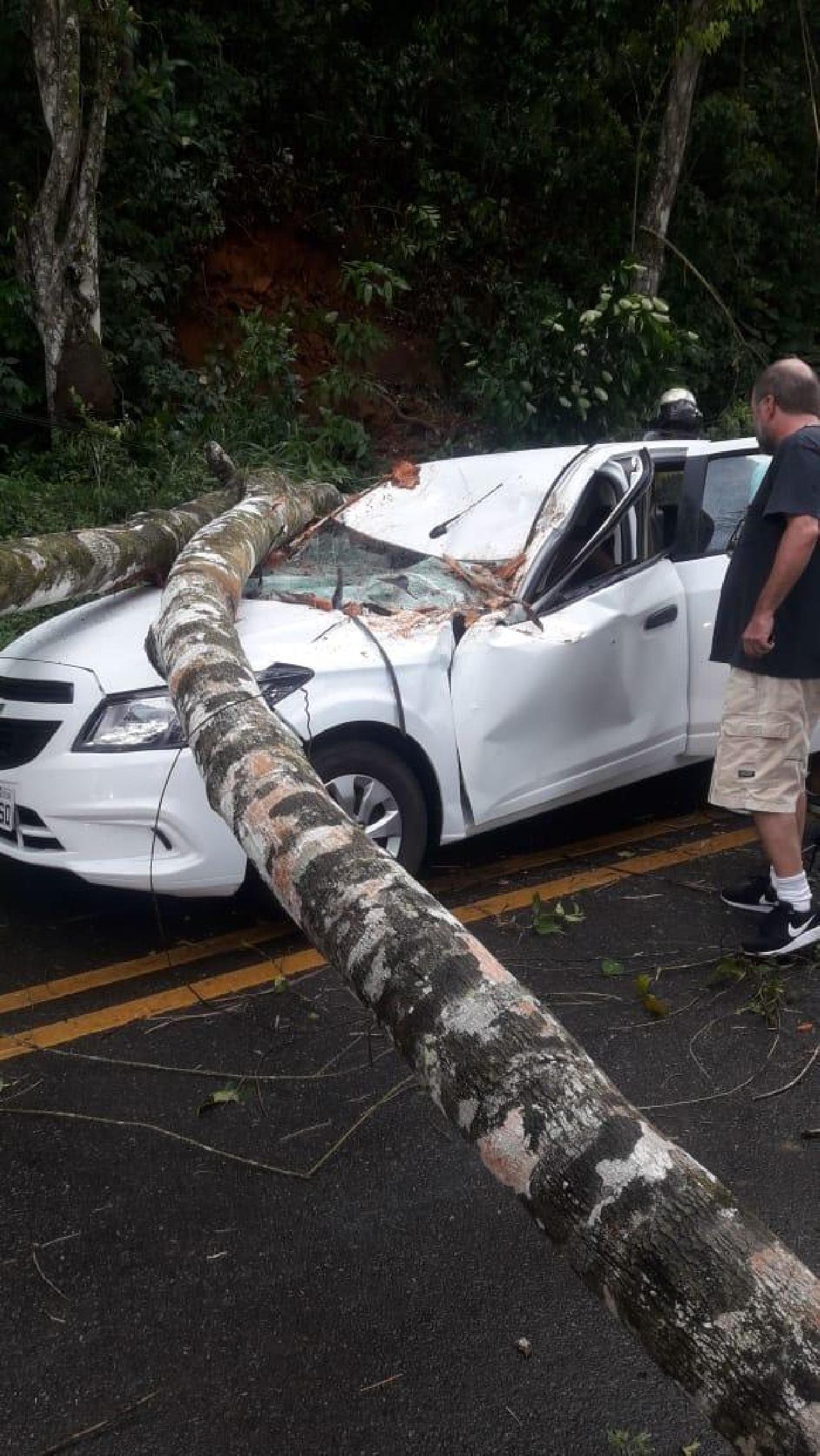 ÁRVORE CAI EM CIMA DE CARRO NA ILHÉUS/ ITABUNA