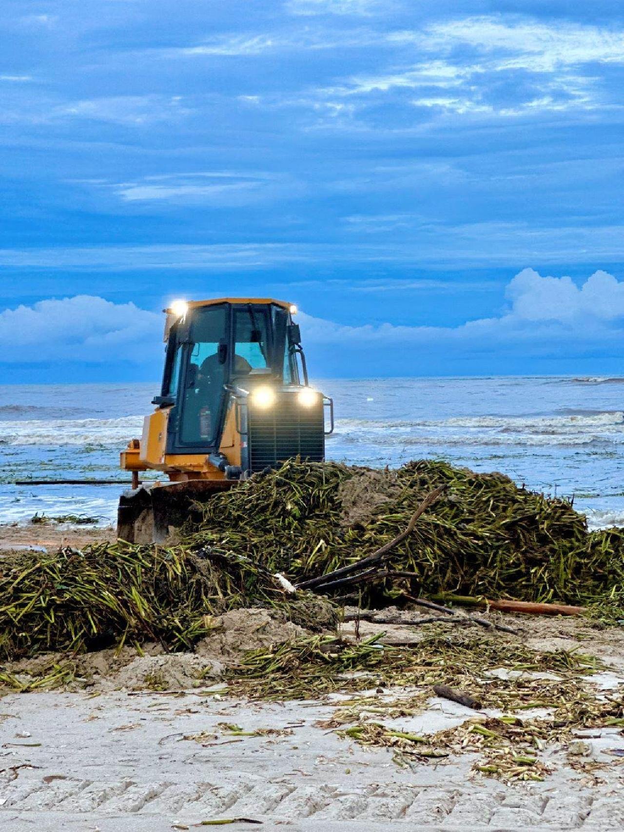 LIMPEZA NAS PRAIAS DE ILHÉUS COMBATE LIXO E AVANÇO DE BARONESAS