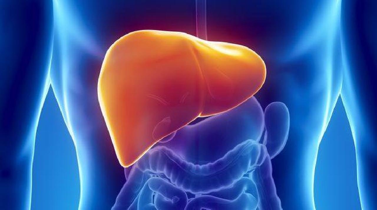 NÚMERO DE PACIENTES COM HEPATITE CRESCE 20% EM 10 ANOS NO BRASIL