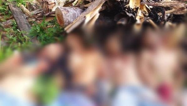 CHACINA DEIXA QUATRO JOVENS MORTOS EM BARRO PRETO, SUL DA BAHIA