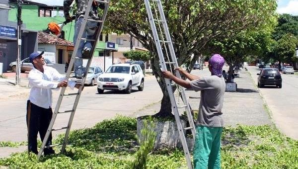 SUPERINTENDENTE DE MEIO AMBIENTE ESCLARE QUE NEM TODAS AS ÁRVORES MARCADAS SERÃO RETIRADAS