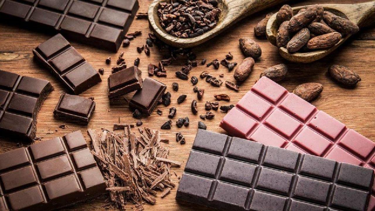 GOVERNO APRESENTA METODOLOGIA DE ESTUDO SOBRE CADEIA PRODUTIVA DO CHOCOLATE 