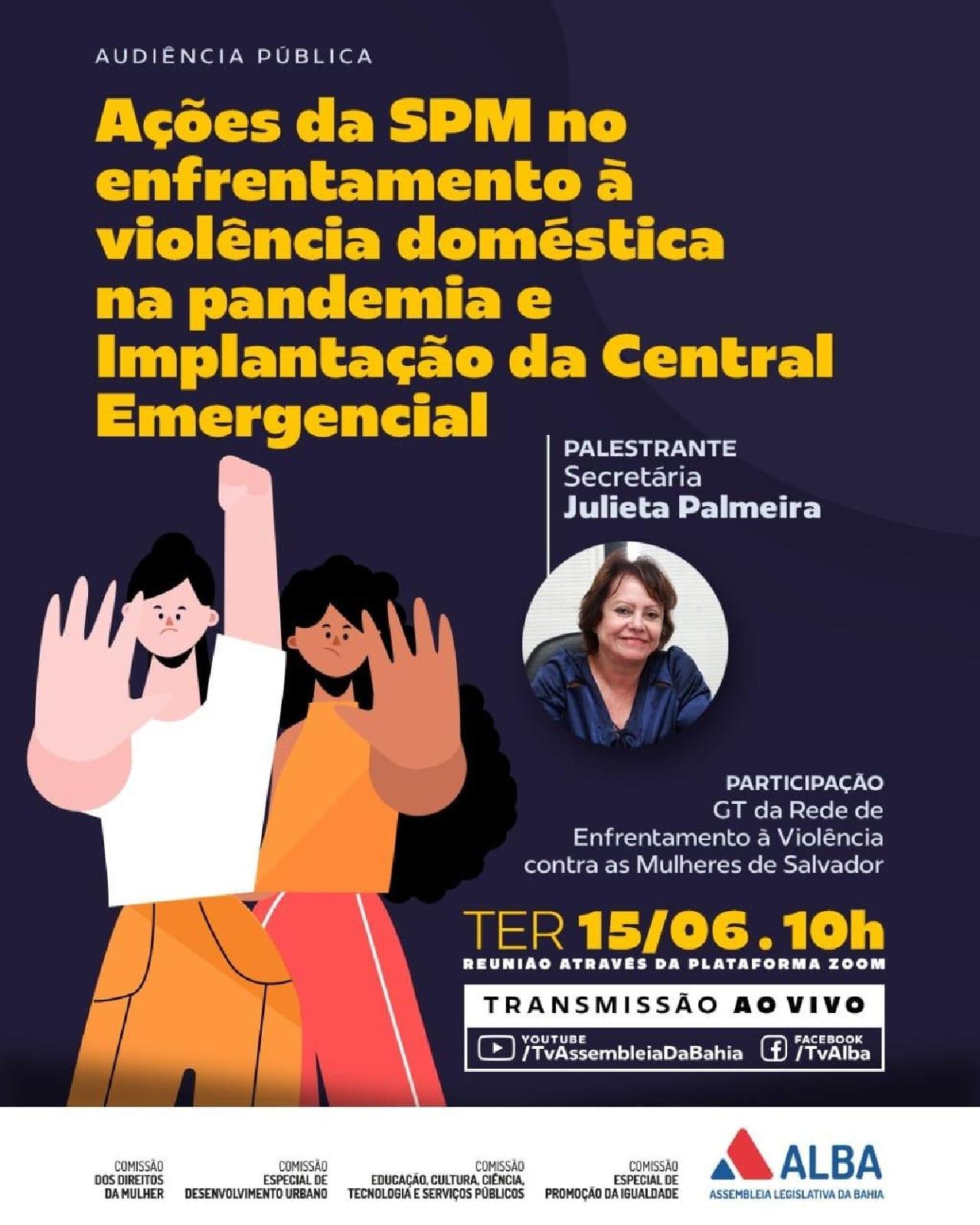 AUDIÊNCIA PÚBLICA CONJUNTA NA ALBA ABORDA AÇÕES PARA O ENFRENTAMENTO À VIOLÊNCIA DOMÉSTICA DURANTE A PANDEMIA