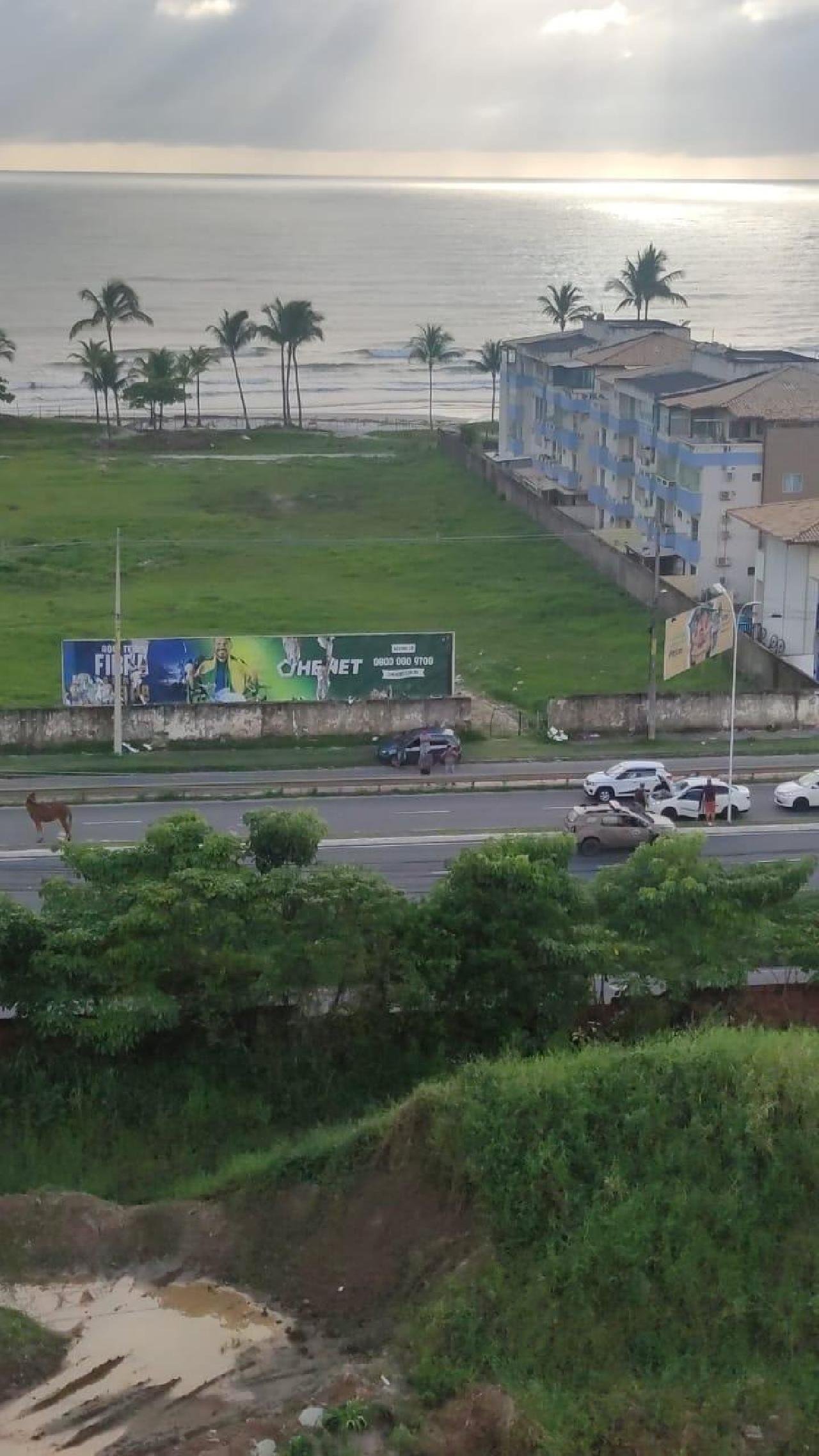 ILHÉUS: POLÍCIA MILITAR E CORPO DE BOMBEIROS RESGATAM CAVALO DE PISTA NA ZONA SUL