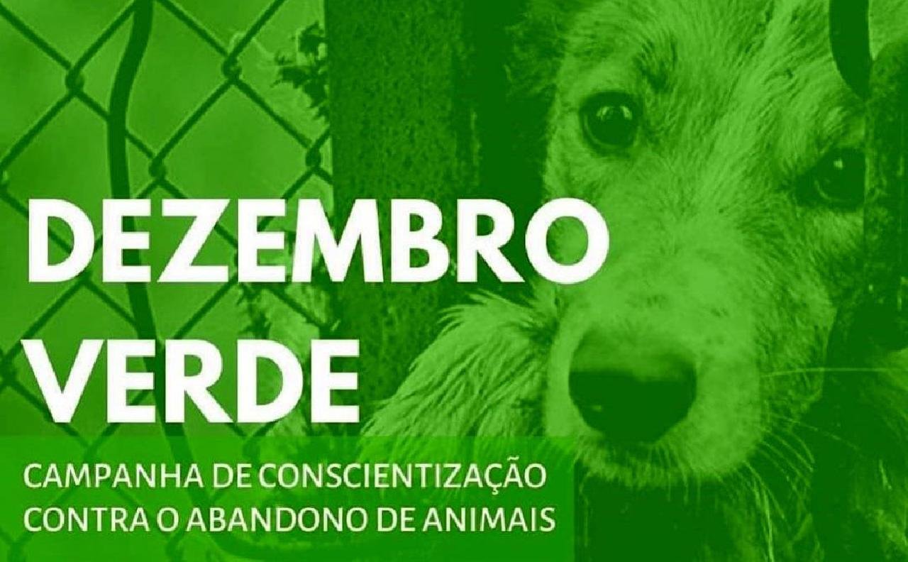 CAMPANHA DEZEMBRO VERDE REALIZA AÇÕES DE ALERTA SOBRE O ABANDONO DE ANIMAIS