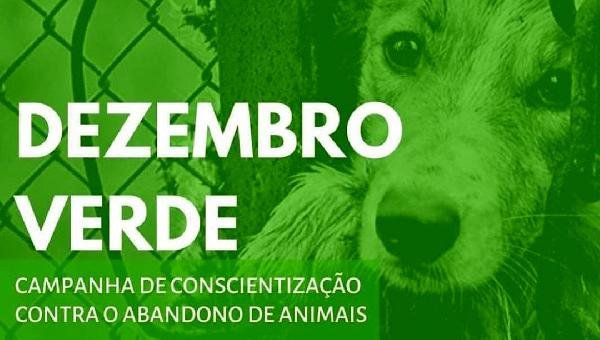 CAMPANHA DEZEMBRO VERDE REALIZA AÇÕES DE ALERTA SOBRE O ABANDONO DE ANIMAIS