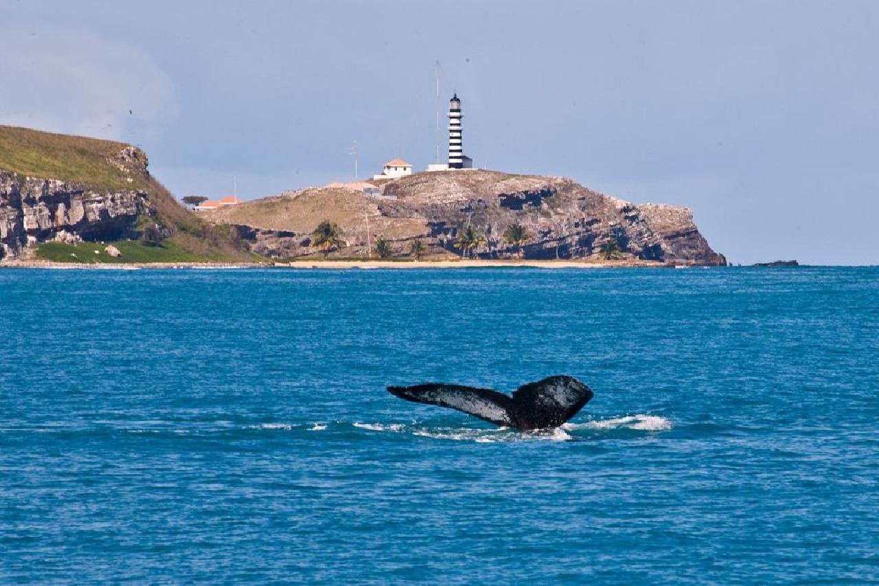 MANCHAS DE ÓLEO CHEGAM AO PARQUE DE ABROLHOS, 1ª UNIDADE DE CONSERVAÇÃO MARINHA DO PAÍS