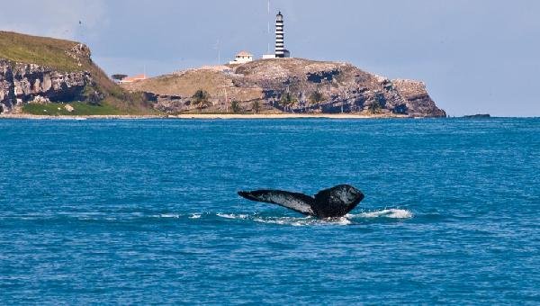 MANCHAS DE ÓLEO CHEGAM AO PARQUE DE ABROLHOS, 1ª UNIDADE DE CONSERVAÇÃO MARINHA DO PAÍS