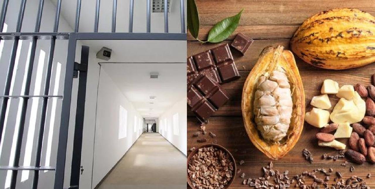 ILHÉUS: NOVO PRESÍDIO SERÁ CONSTRUÍDO NA ESTRADA DO CHOCOLATE