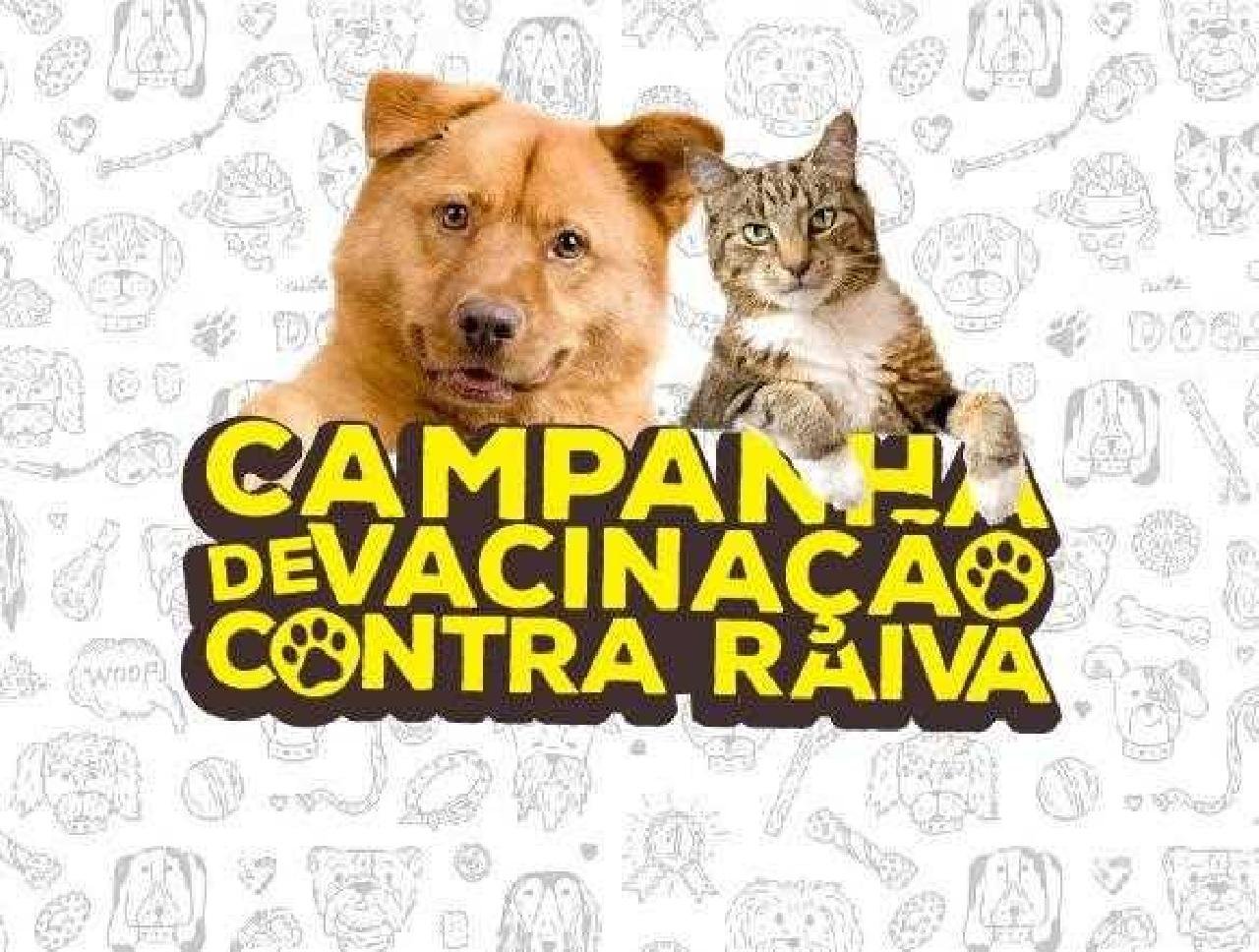 CAMPANHA DE VACINAÇÃO ANTIRRÁBICA TEM INÍCIO HOJE EM ILHÉUS