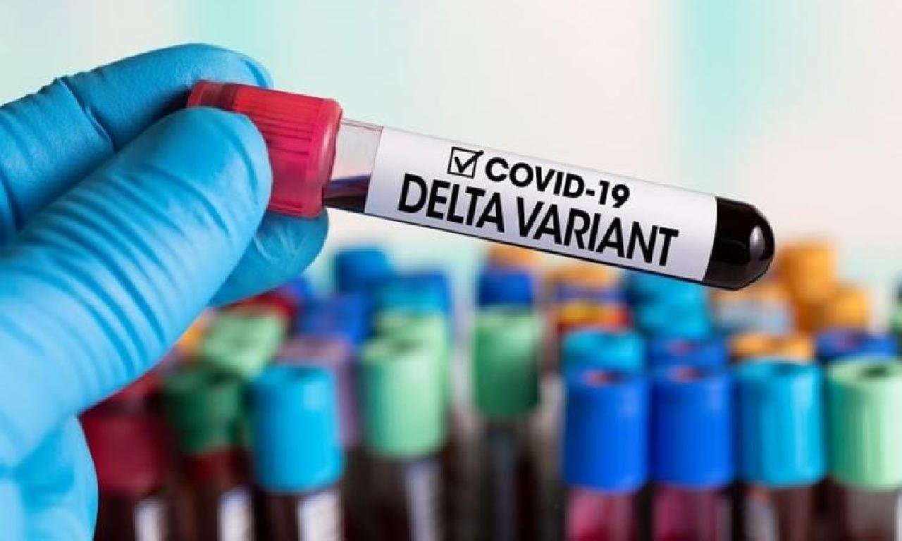 VARIANTE DELTA É DETECTADA EM AMOSTRAS DE ILHÉUS, ITABUNA E CANAVIEIRAS