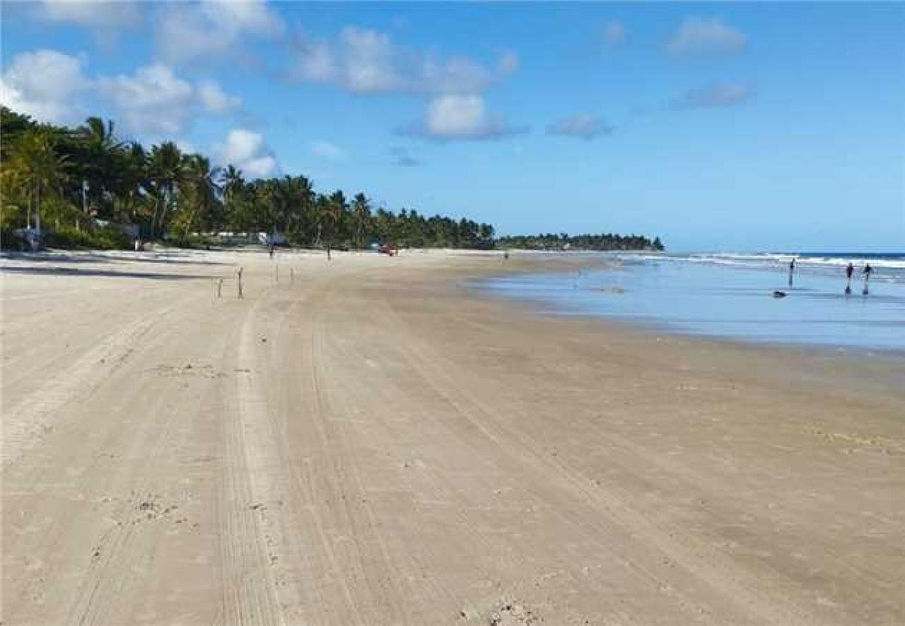 PREFEITURA DE ILHÉUS REALIZA MUTIRÃO E INTENSIFICA LIMPEZA DE PRAIAS PARA RETIRADA DE BARONESAS 