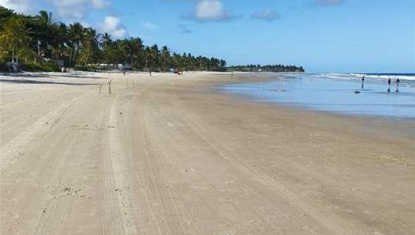 PREFEITURA DE ILHÉUS REALIZA MUTIRÃO E INTENSIFICA LIMPEZA DE PRAIAS PARA RETIRADA DE BARONESAS 