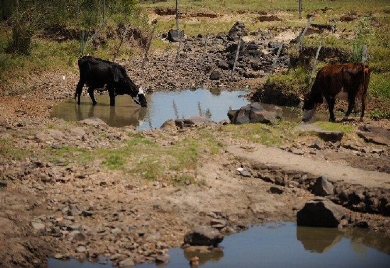 ESTIAGEM: ESTADO RECONHECE SITUAÇÃO DE EMERGÊNCIA EM 146 CIDADES BAIANAS