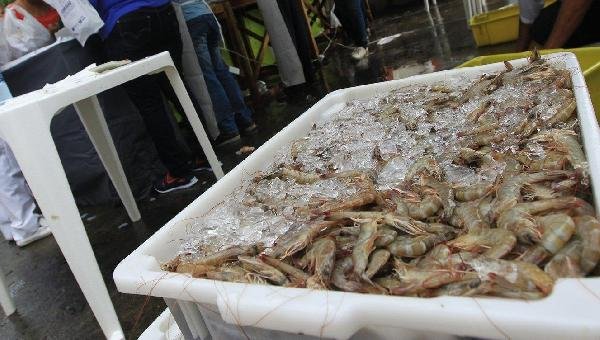 MINISTÉRIO VOLTA ATRÁS E LIBERA PESCA DE CAMARÃO E LAGOSTA NA BAHIA