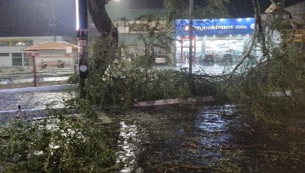 TEMPORAL CAUSA ESTRAGOS EM ITAPETINGA