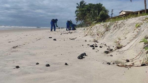 PREFEITURA FAZ LIMPEZA DAS PRAIAS E CRIA CANAL PARA POPULAÇÃO INDICAR MANCHAS DE ÓLEO