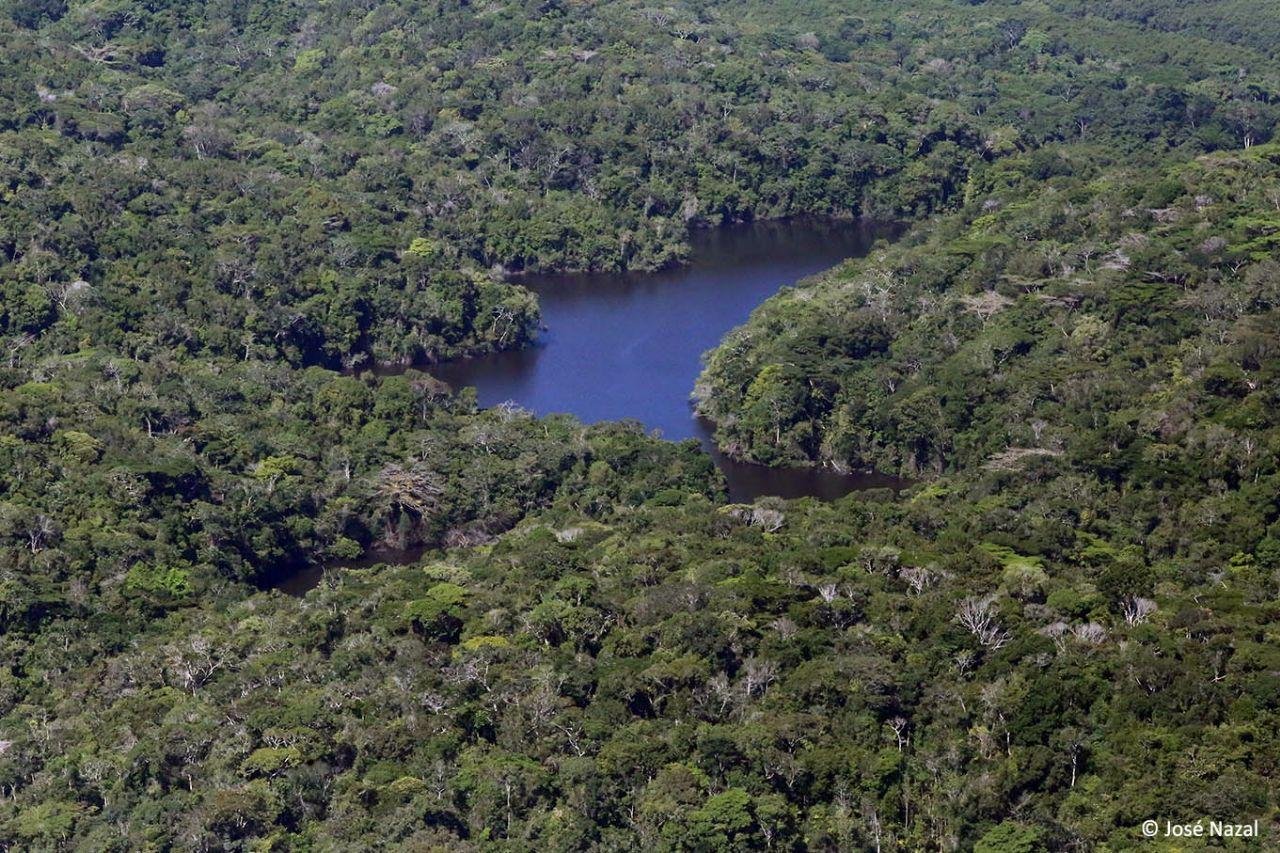 “SOS MATA ATLÂNTICA” REVELA QUE O SUL DA BAHIA É O CAMPEÃO NO DESMATAMENTO DO BIOMA