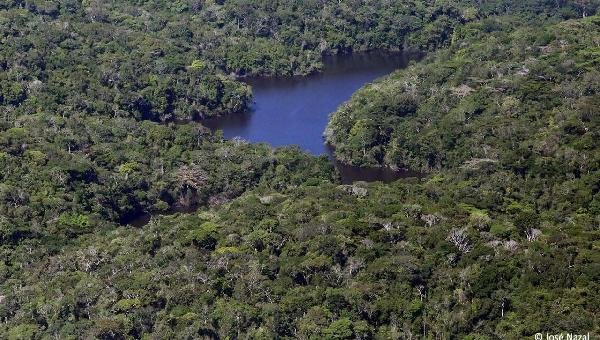 “SOS MATA ATLÂNTICA” REVELA QUE O SUL DA BAHIA É O CAMPEÃO NO DESMATAMENTO DO BIOMA