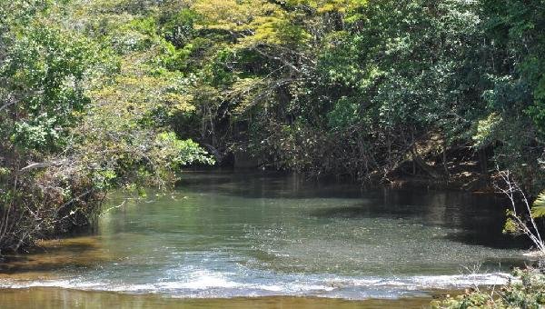 SUL DA BAHIA RECEBERÁ O JARDIM BOTÂNICO DE SERRA GRANDE