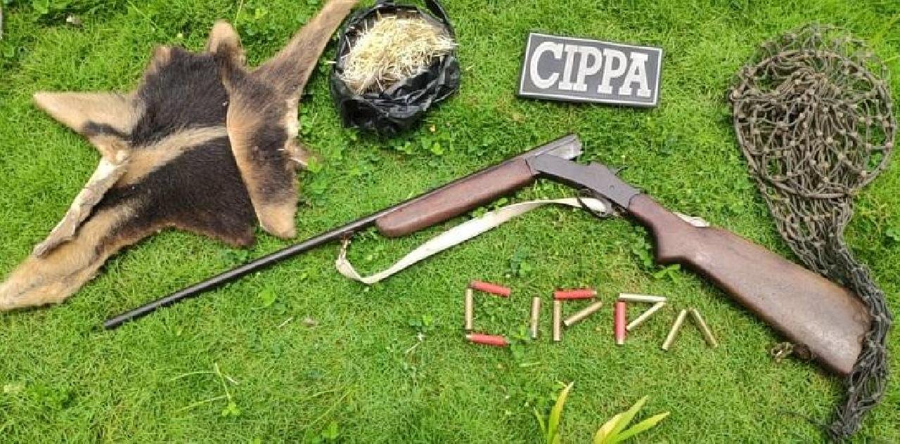 CIPPA RESGATA ANIMAIS SILVESTRES E APREENDE ARMA EM UNA