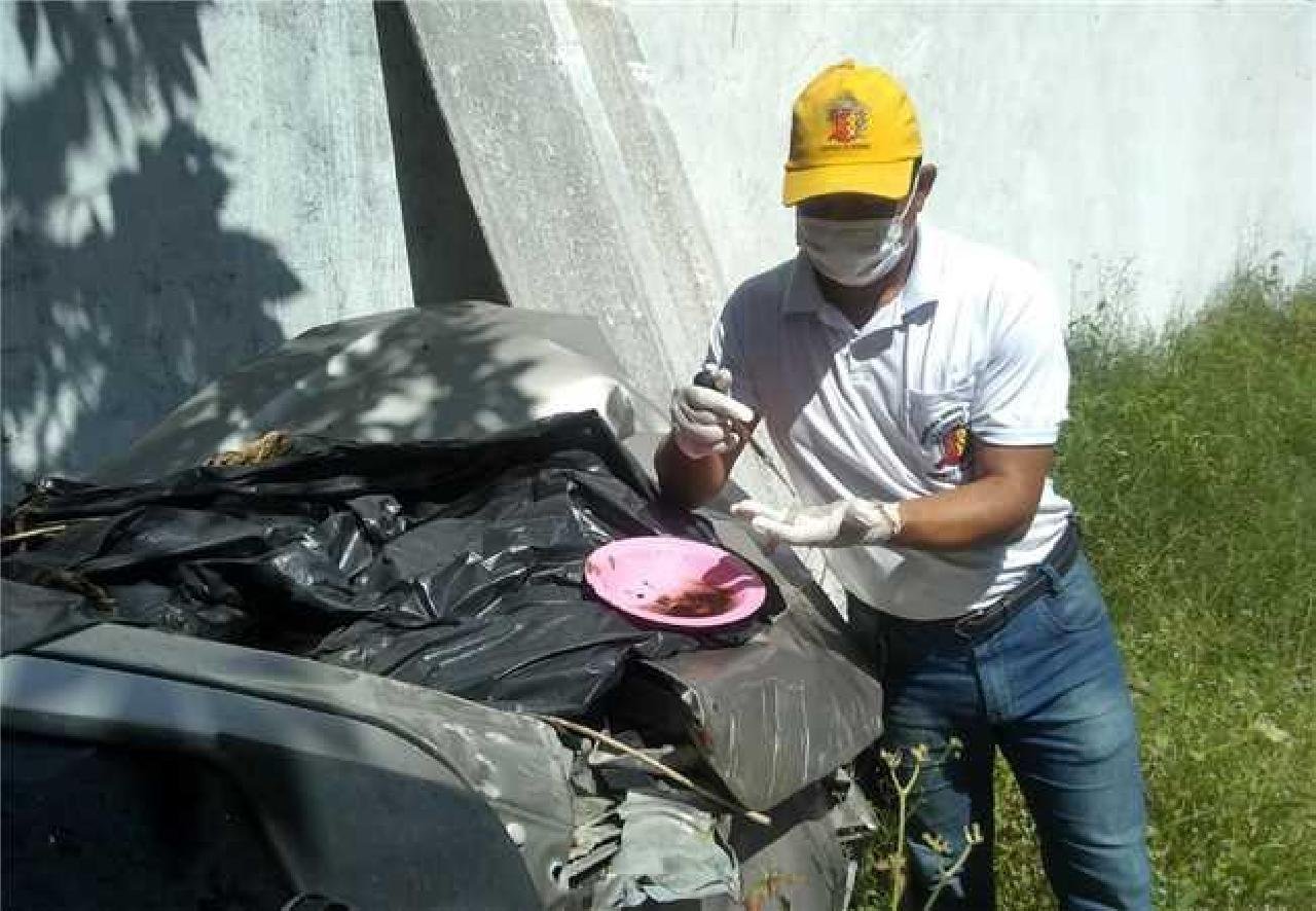 AGENTES DE ENDEMIAS REFORÇAM AÇÕES DE CONTROLE E COMBATE À DENGUE EM ILHÉUS 