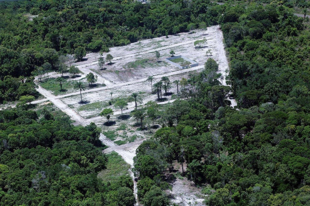 DENÚNCIA: LOTEAMENTOS CLANDESTINOS EM ILHÉUS