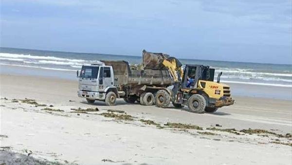 PREFEITURA DE ILHÉUS REALIZA LIMPEZA DAS PRAIAS PARA A RETIRADA DE BARONESAS