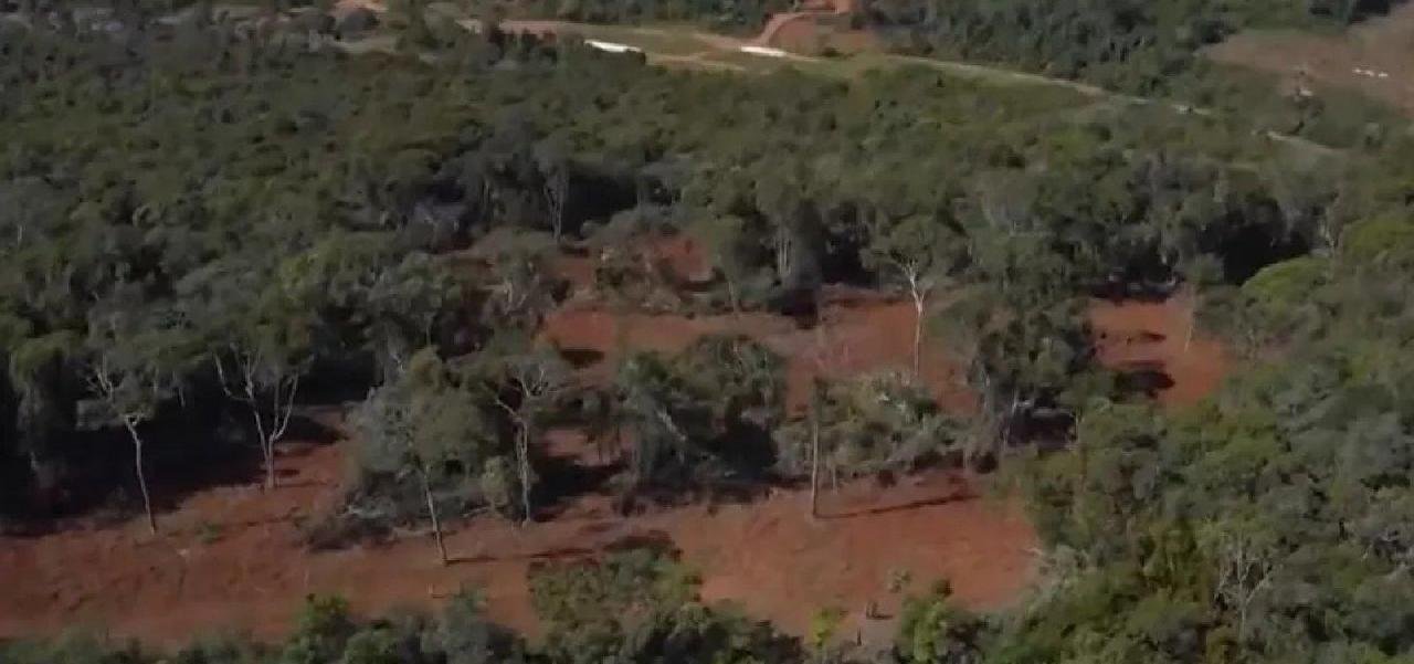 DESMATAMENTO AUMENTOU 54% EM UM ANO NA BAHIA