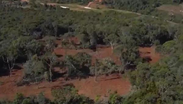 DESMATAMENTO AUMENTOU 54% EM UM ANO NA BAHIA