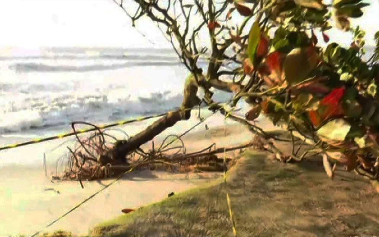 AVANÇO DO MAR DANIFICA ESTRUTURA DE BARRACA E DERRUBA ÁRVORE EM PRAIA DE ILHÉUS