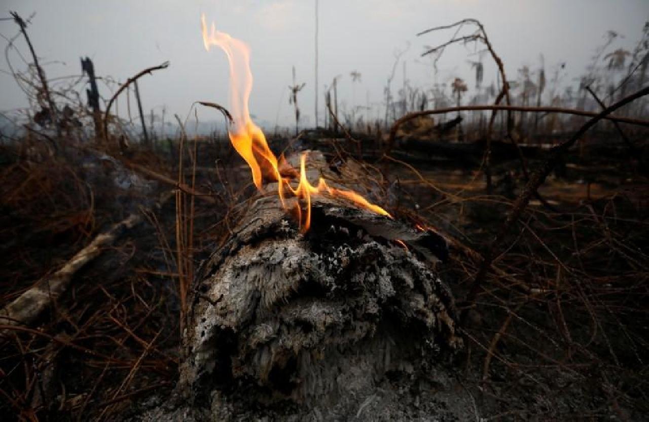 ESTADOS BRASILEIROS PEDEM AJUDA MILITAR PARA COMBATER INCÊNDIOS NA AMAZÔNIA