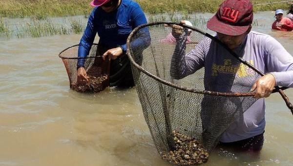 NUSAT E ONG ORGANIZAM SEMINÁRIO SOBRE SAÚDE PARA PESCADORES E MARISQUEIRAS