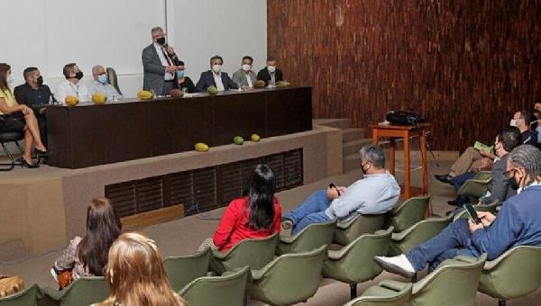 BAHIA LANÇA CAMPANHA PARA IMPEDIR A CHEGADA DA MONILÍASE CACAUEIRA NO ESTADO