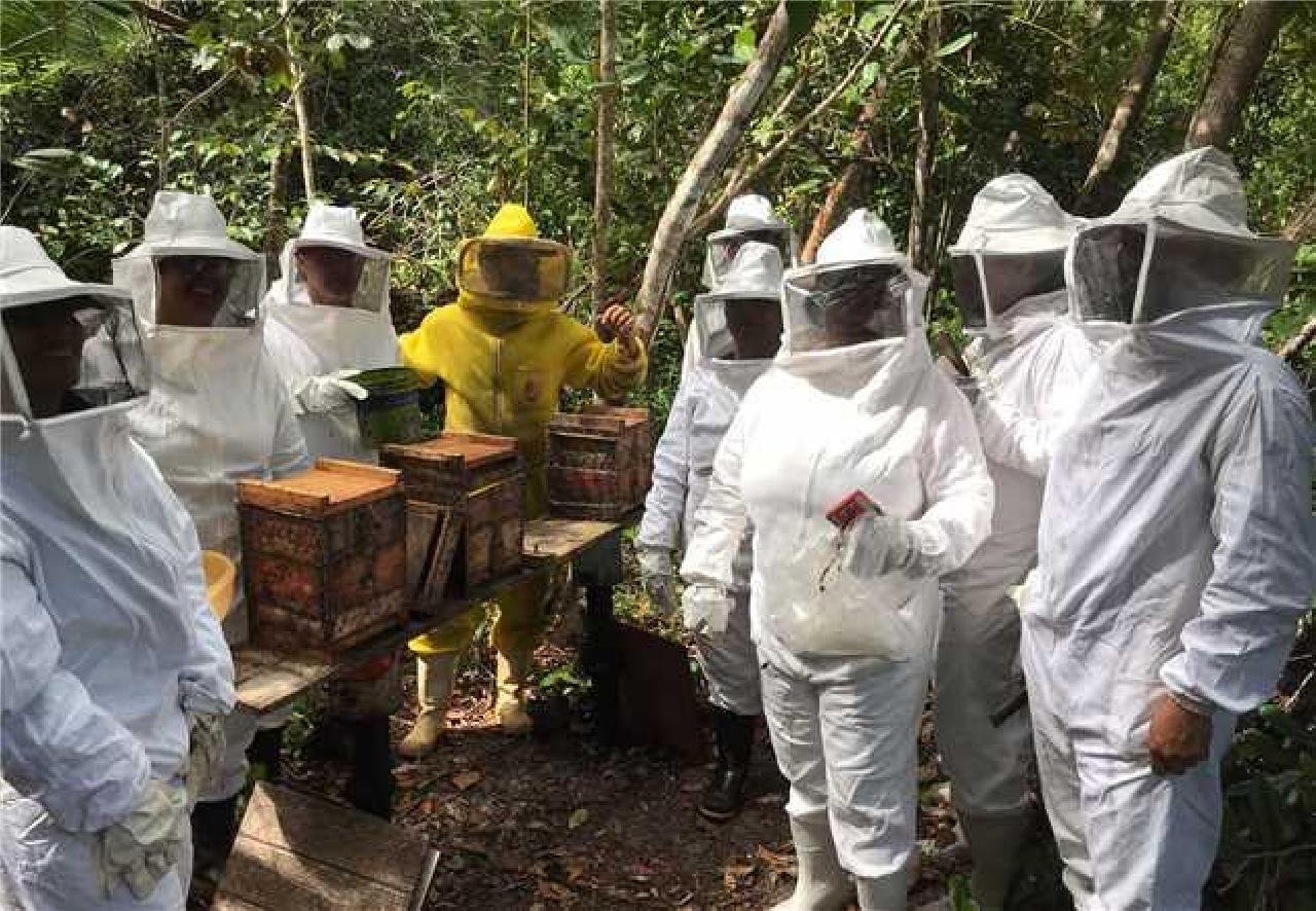 PREFEITURA DE ILHÉUS PROMOVE CURSOS PARA AGRICULTORES FAMILIARES DO MUNICÍPIO