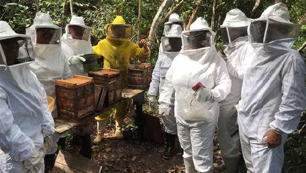 PREFEITURA DE ILHÉUS PROMOVE CURSOS PARA AGRICULTORES FAMILIARES DO MUNICÍPIO